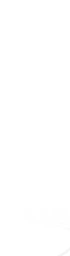 とちぎ和牛