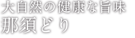 大自然の健康な旨味那須どり