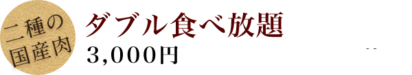 ダブル食べ放題